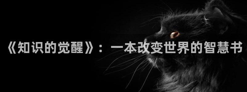 搜书吧2025