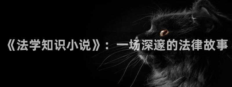 搜书吧链接